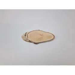 Tranche de bouleau longue +/-22x10cm +/-2.5cm naturel