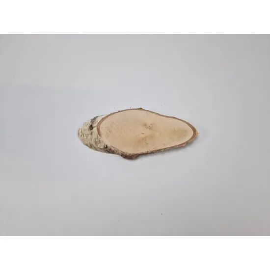 Berkenschijf lang +/-22x10cm +/-2.5cm naturel