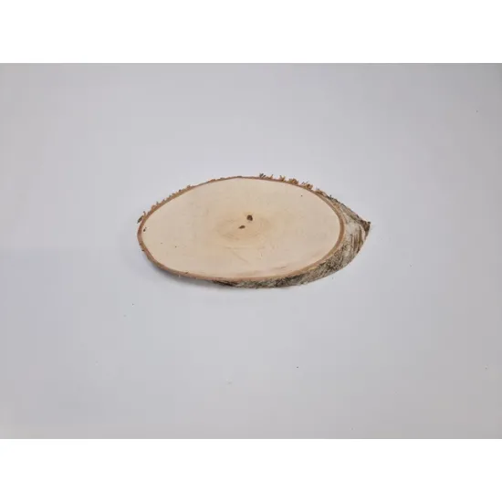 Berkenschijf lang +/-30-34x14-16cm +/-2.5cm naturel