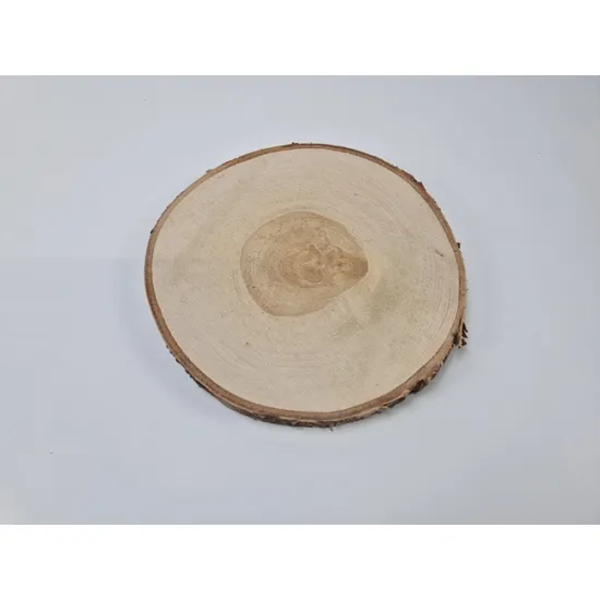 Tranche de bouleau +/-25cm +/-2.5cm naturel