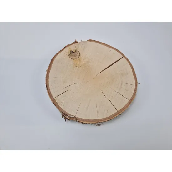 Berkenschijf +/-30cm +/-4cm naturel