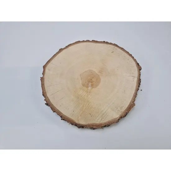 Berkenschijf +/-40cm +/-4cm naturel