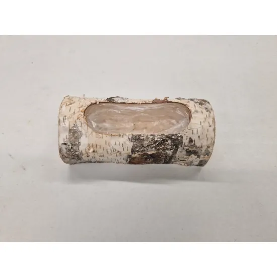 Birch stem half open 17x10x8cm