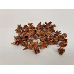 Beukenhulzen naturel +/-50gr