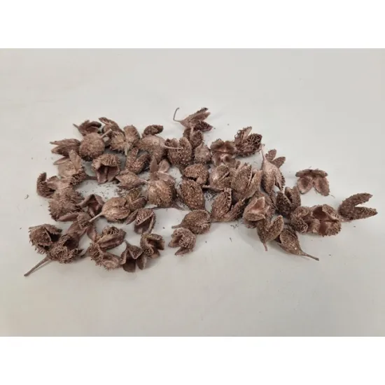 Beukenhulzen rosegold +/-50gr