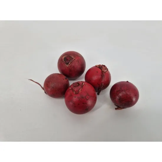 Bohla rood 5st
