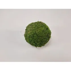 Sphere green moss preserved 15cm