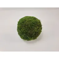 Sphere green moss preserved 20cm