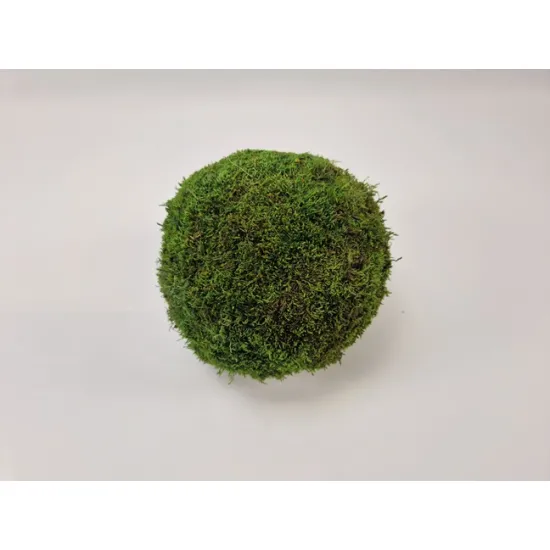 Bol groen mos geconserveerd 20cm