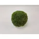 Bol groen mos geconserveerd 20cm