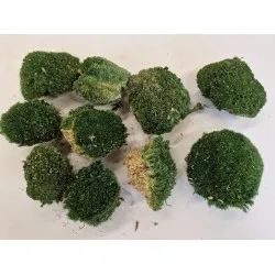 Ball moss preserved nature green consumer packaging