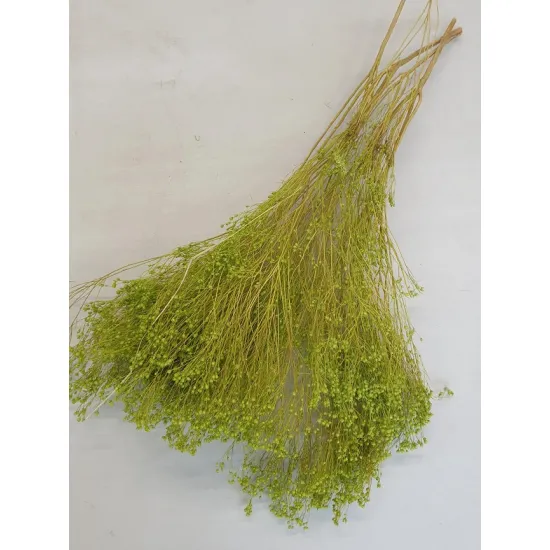 Broom bloom apple green +/-100gr