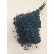 Broom bloom bleu +/-100gr