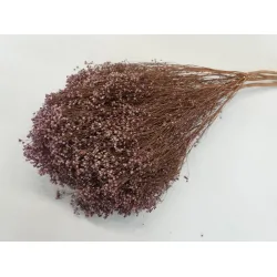 Broom bloom lila +/-100gr