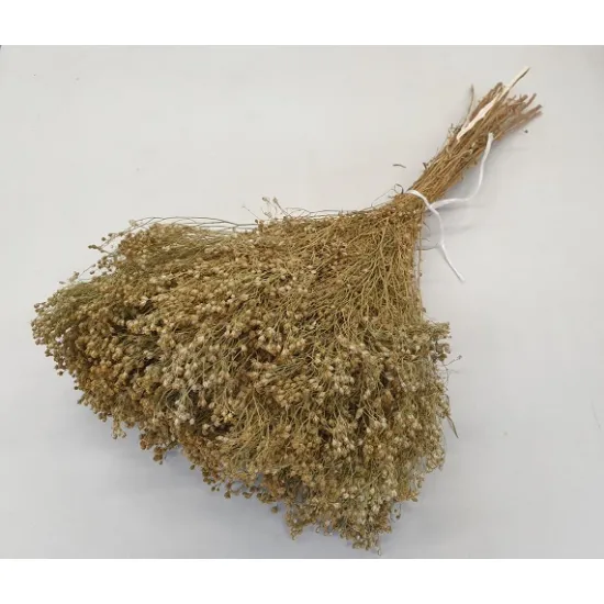Broom bloom natural +/-100gr