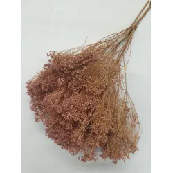 Broom bloom rose vieux +/-100gr