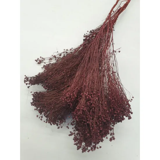 Broom bloom pruim +/-100gr