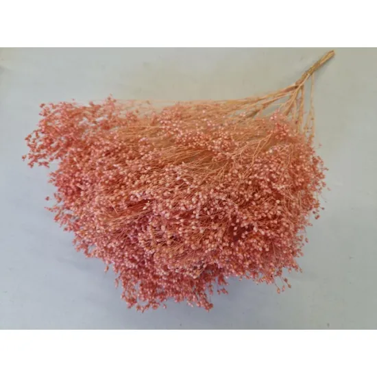 Broom bloom zalmroze +/-100gr