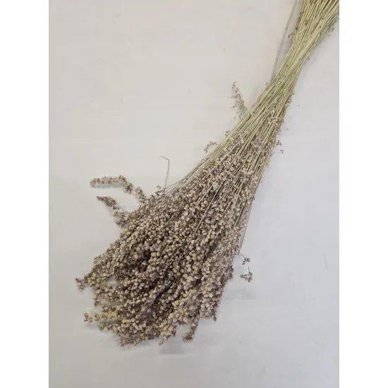 Briza minima naturel roze +/-100gr