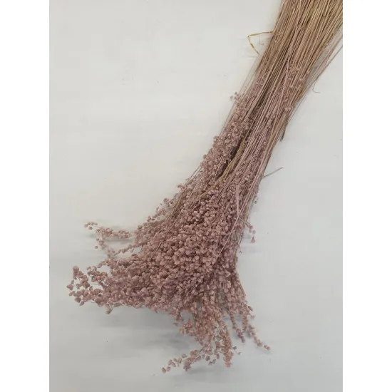 Briza minima rose vieux +/-100gr