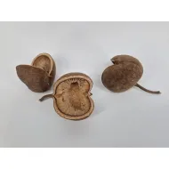 Buddha nuts natural 3pcs