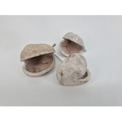 Budha nuts white wash 3st