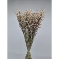 Briza minima naturel vert +/-100gr