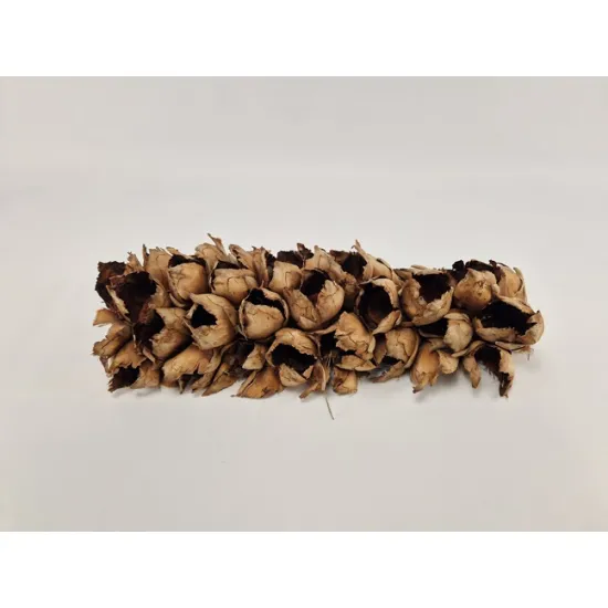 Cacho coco 60/70 half naturel 1st
