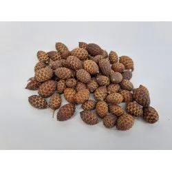 Cane fruit naturel +/- 500gr