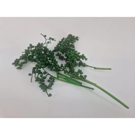 Canella appelgroen 5st