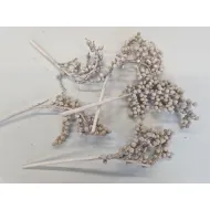 Canella frosted white 5pcs