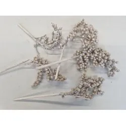 Canella frosted white 5st