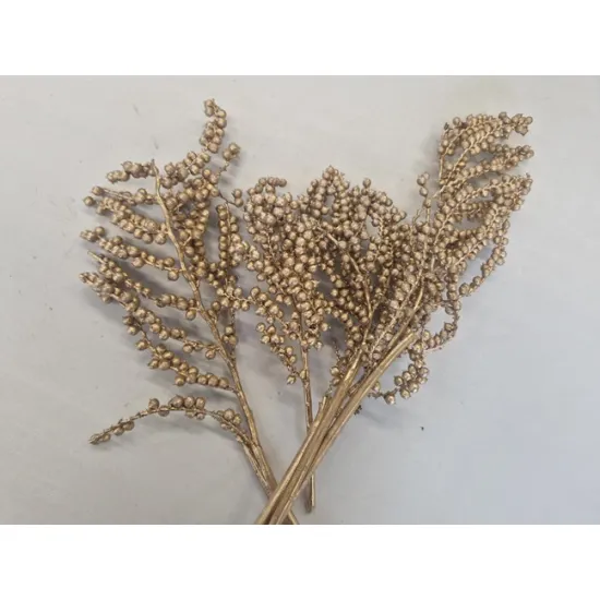 Canella goud 5st