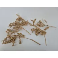 Canella naturel 5pcs