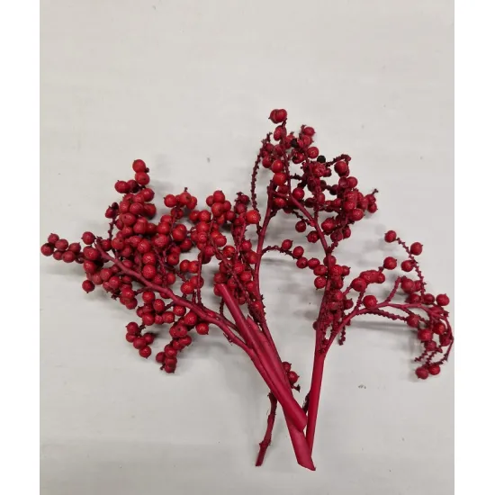 Canella rood 20st