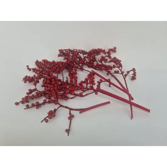 Canella rood 5st