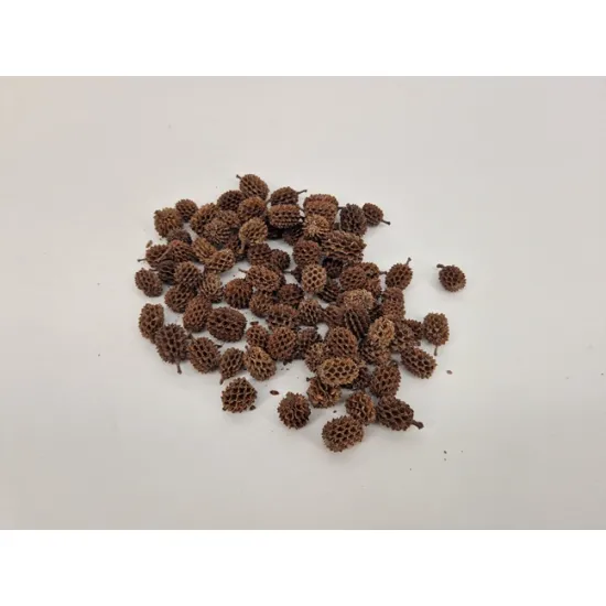 Casurina naturel +/-1kg