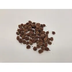 Casurina natural +/-75gr