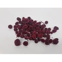 Casurina red +/-1kg