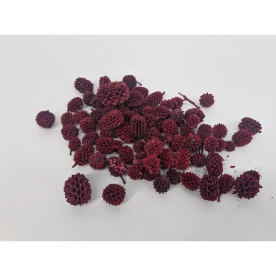 Casurina rouge +/-1kg