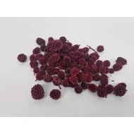 Casurina rouge +/-75gr