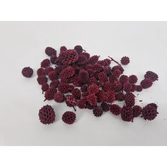 Casurina rouge +/-75gr