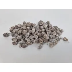 Casurina white wash +/-1kg