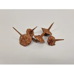 Ceder basis natural 40pcs