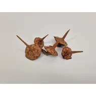 Ceder basis naturel 5pcs