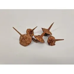 Cedar basic natural 5pcs