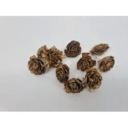 Rose ceder or 10pcs