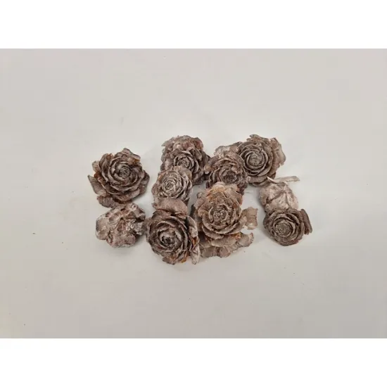 Cedar roses white wash 10pcs
