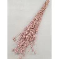 Centaurea pearl pink +/-100gr