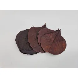 Cobra leaf brown 50pcs